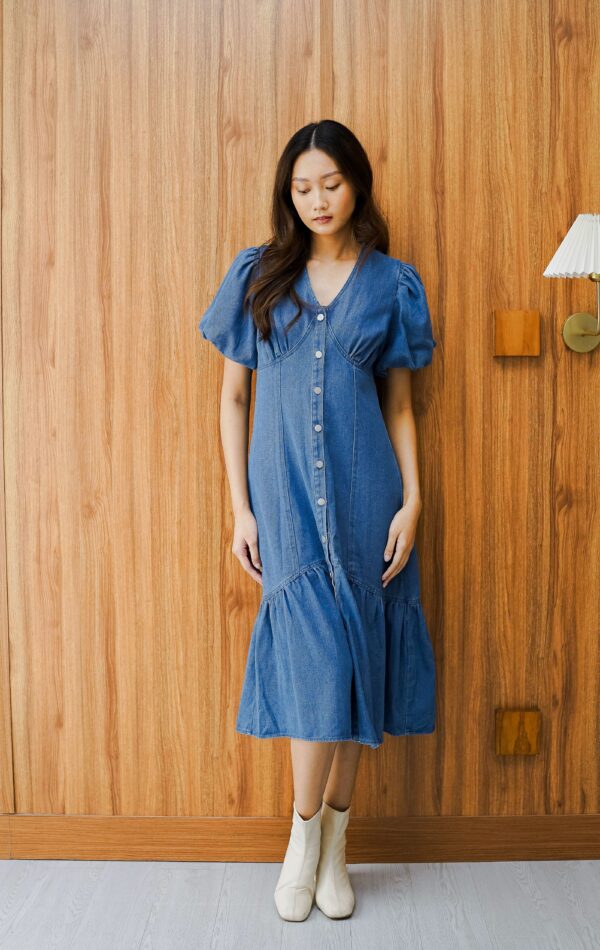 Sheryl Dress Denim