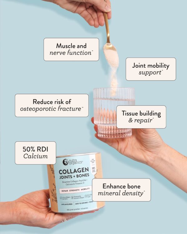 Collagen Body (Joints + Bones) - Image 2